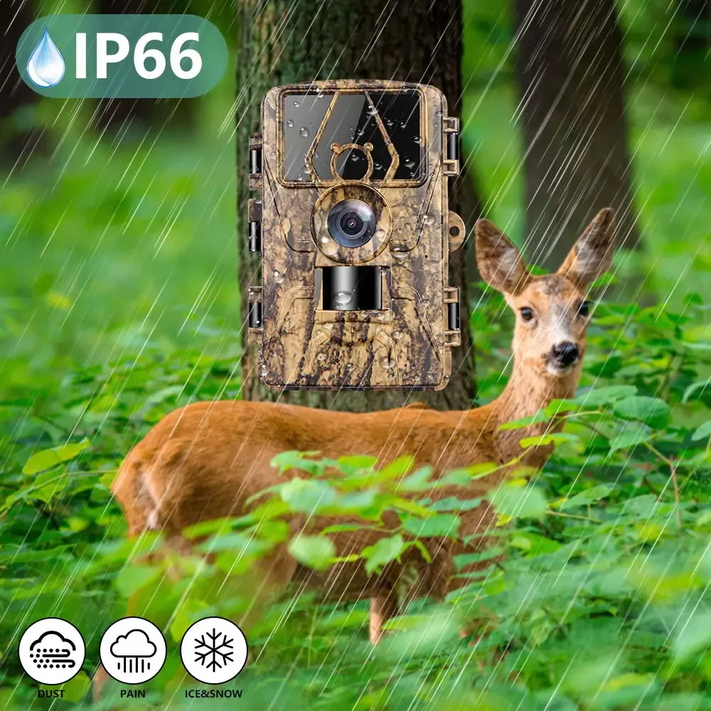กล้องติดตามสัตว์กันน้ำ 8K WiFi - Outdoor Hunting Camera Wifi บทวิจารณ์และราคา