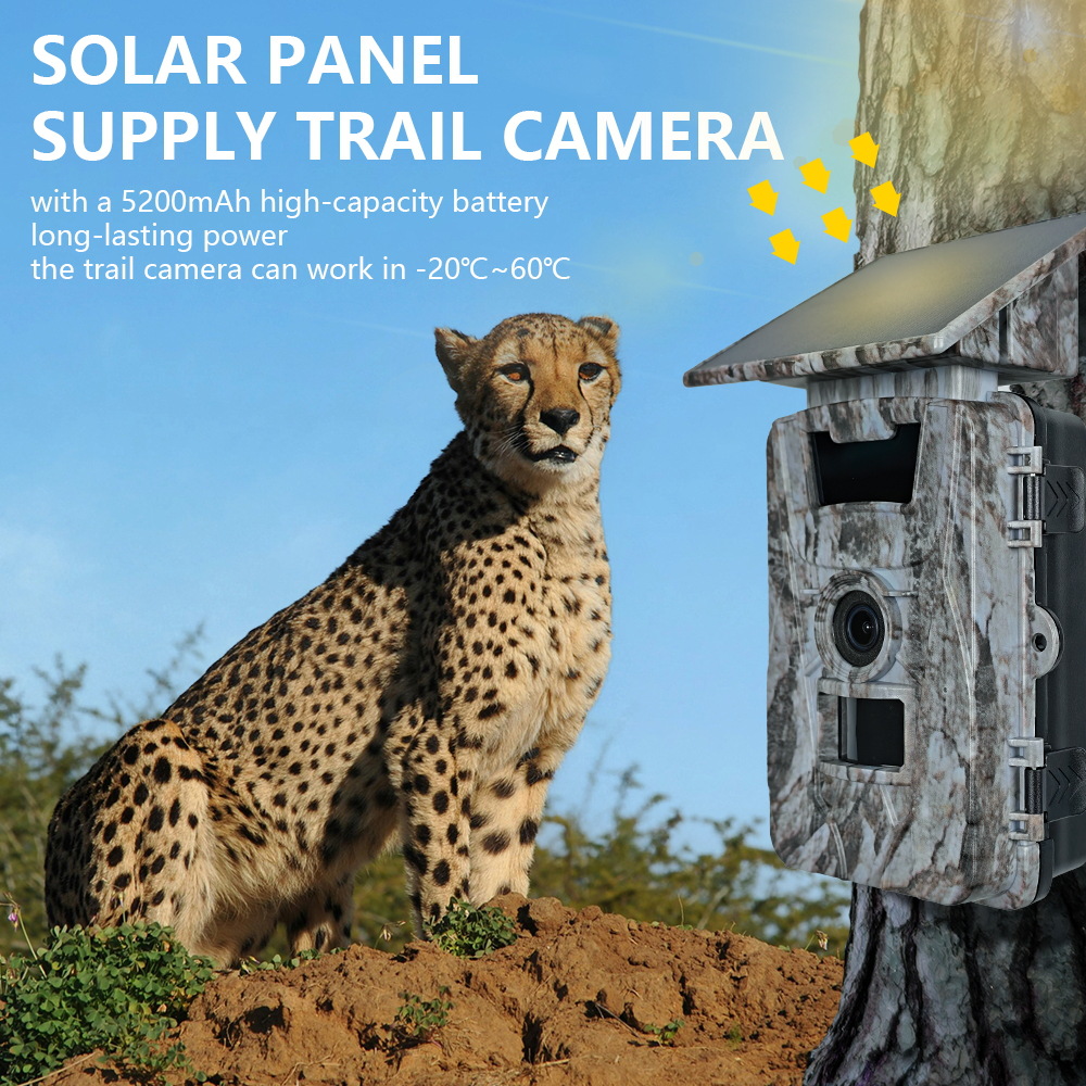 กล้องติดตามสัตว์ป่า Solar WiFi - Outdoor Hunting Camera Wifi บทวิจารณ์และราคา