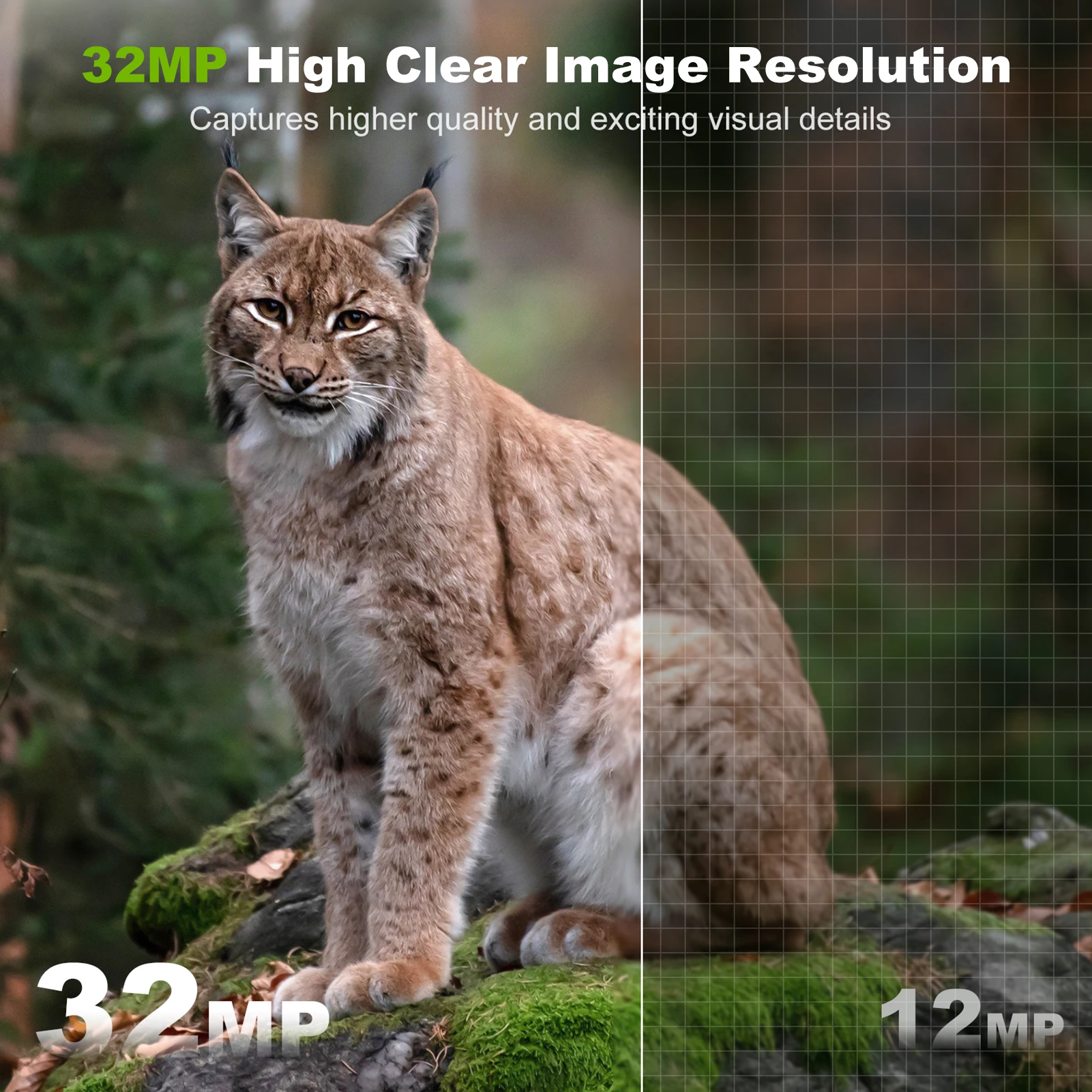 พลังงานแสงอาทิตย์กล้องกลางแจ้ง - Outdoor Hunting Camera Wifi บทวิจารณ์และราคา